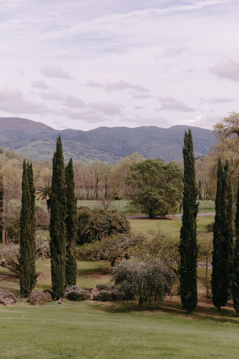 DIY Spring wedding decor ideas to explore! | Lily \u0026 Lime, image size:800x1200