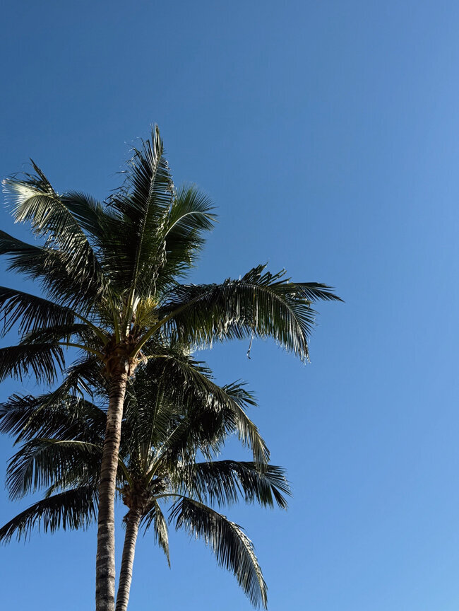 Blog Category: Florida