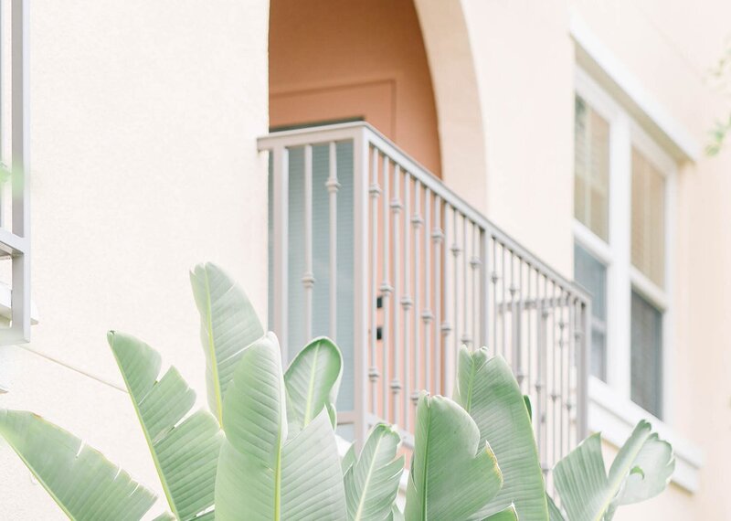 Decorative photo of a light gray balcony railing on a peach building with Birds of Paradise leaves in the foreground, used in the hero section of the Xanthe Bookkeeping FAQs page.