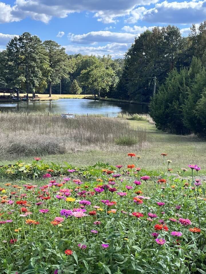 cedar hill farm flowers brooks ga