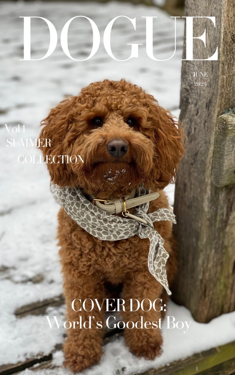 E4AF5565-F9F6-4693-94D5-F89455B27CFB