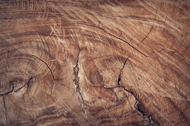 dar wood grain texture