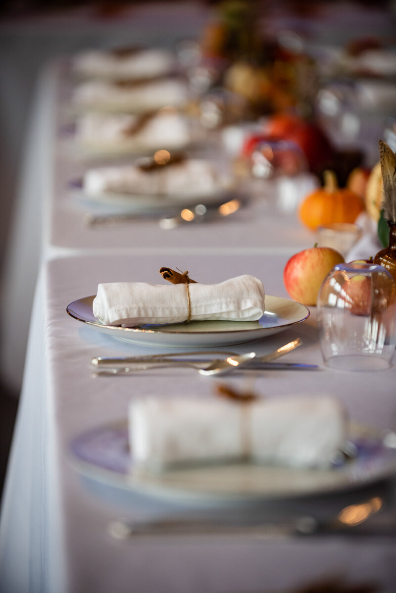 Waukesha-indoor-wedding-table-details