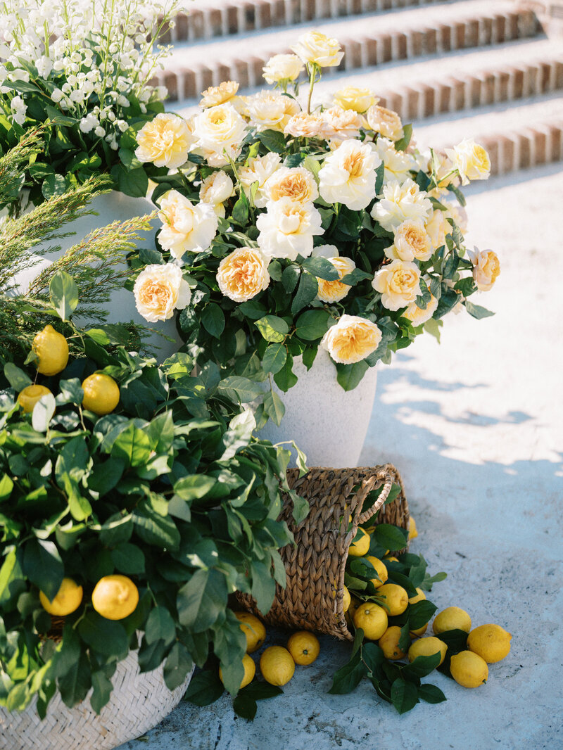 04-23-2024-D&V-Previews-17