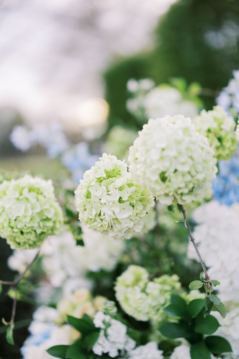 KJP_MastersWedding_2023-995