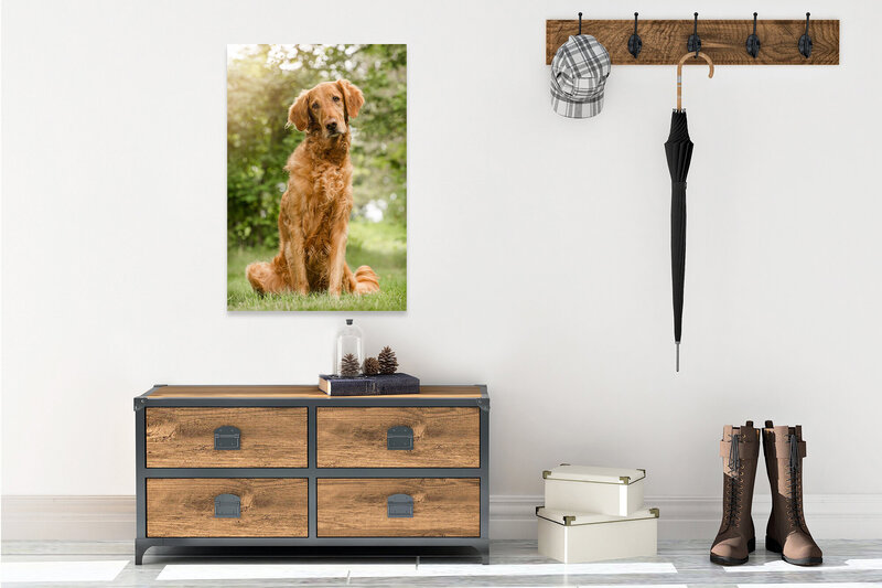 Entryway LucyI Sticky-Pets-Mockup-Horizontal with canvas