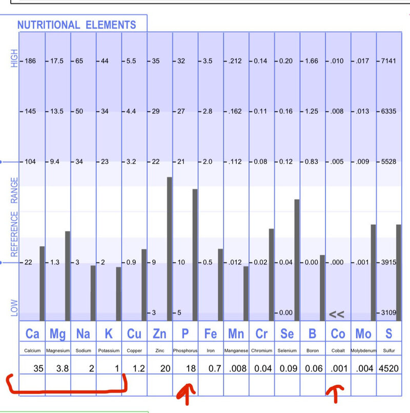 Screenshot of an HTMA test result displaying various data entries and calculations in organized rows and columns.