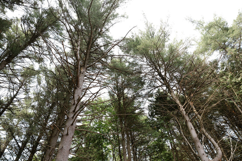 kawartha wedding officiant