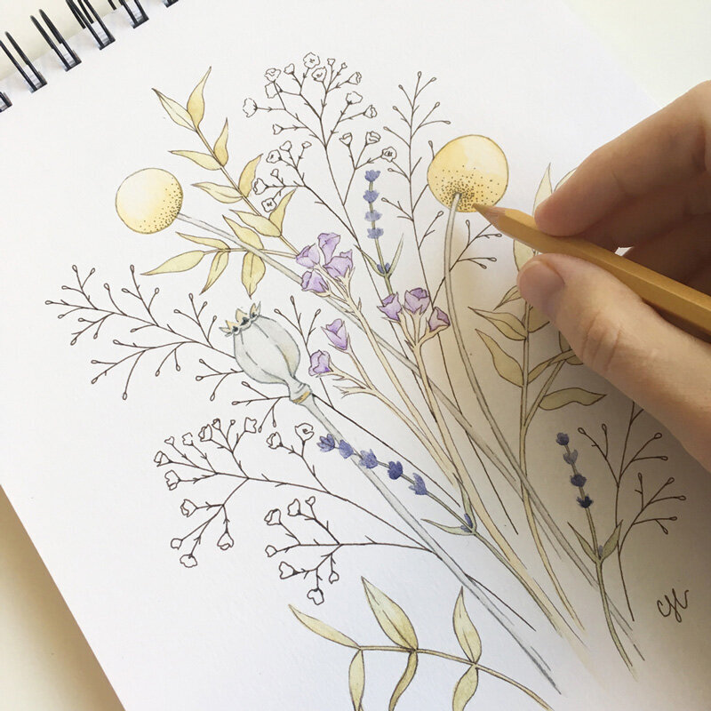 botanical wildflower bouquet illustration