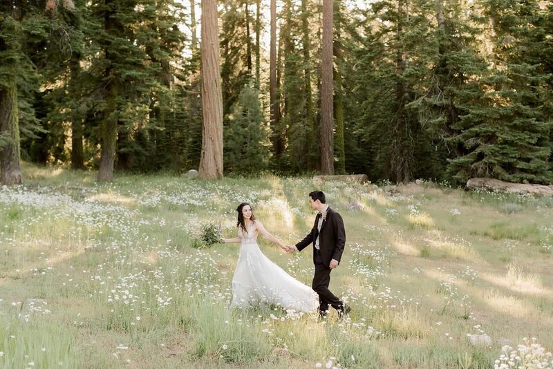 A bride and groom enjoy a walk in mountain meadow of wildflowers on their wedding day. 