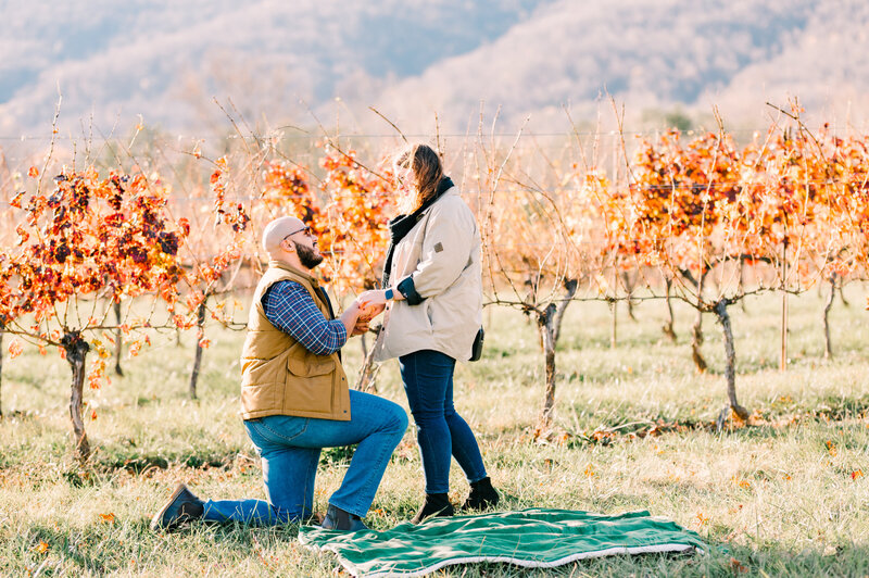 Couple engaged in vineyard in Virginia