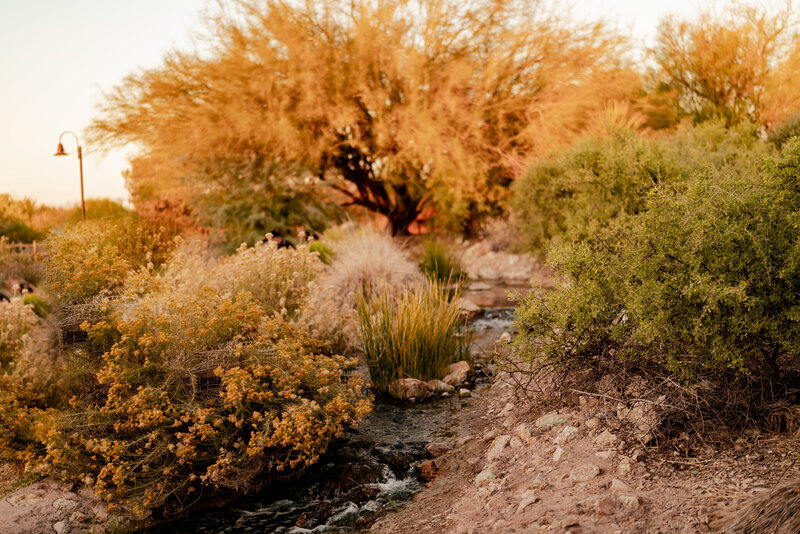 Riperian Preserve-33