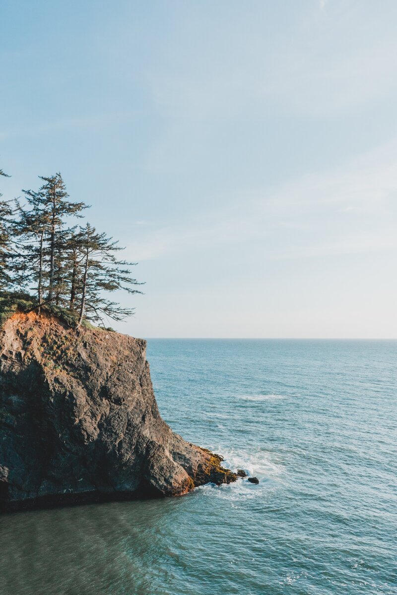 Photo of the Pacific Ocean with trees on a a cliff