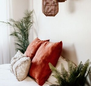 Beloved-Plant Room 2