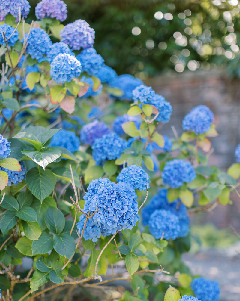 luxury-seattle-wedding-photographer-shaunae-teske-thornewood-castle-wedding-27