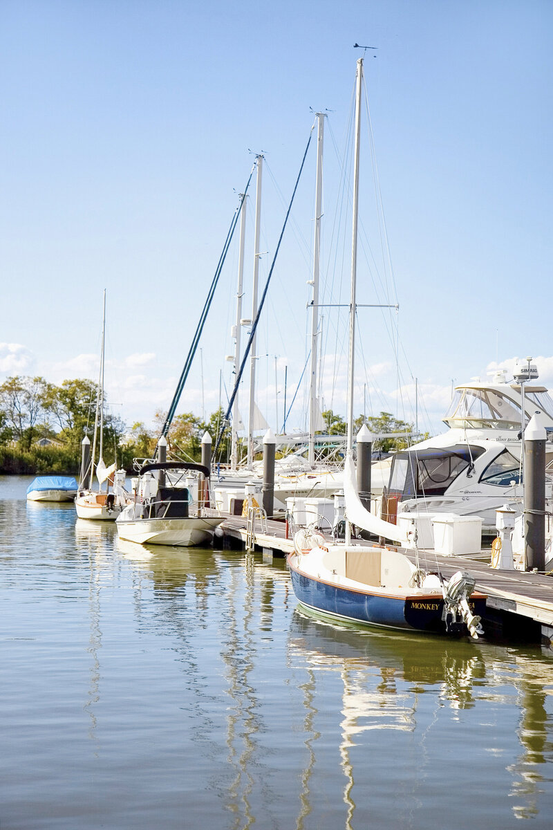 A sunny harbor scene with several sailboats and yachts docked along a wooden pier. The sky is clear, and trees are visible in the background. The water reflects the boats and bright daylight.