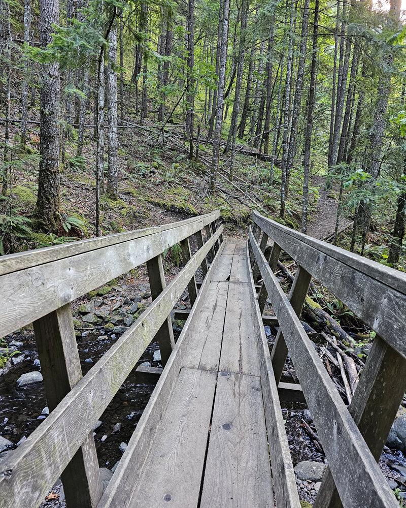 Ride over a wooden bridge spanning water in the tranquil wooded area of Viento State Park with The Gorge E-Bike Adventure Rentals