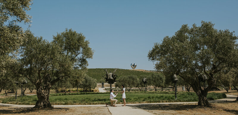 rebecca skidgel photography proposal photographer donum estate winery guy proposing zodiac garden