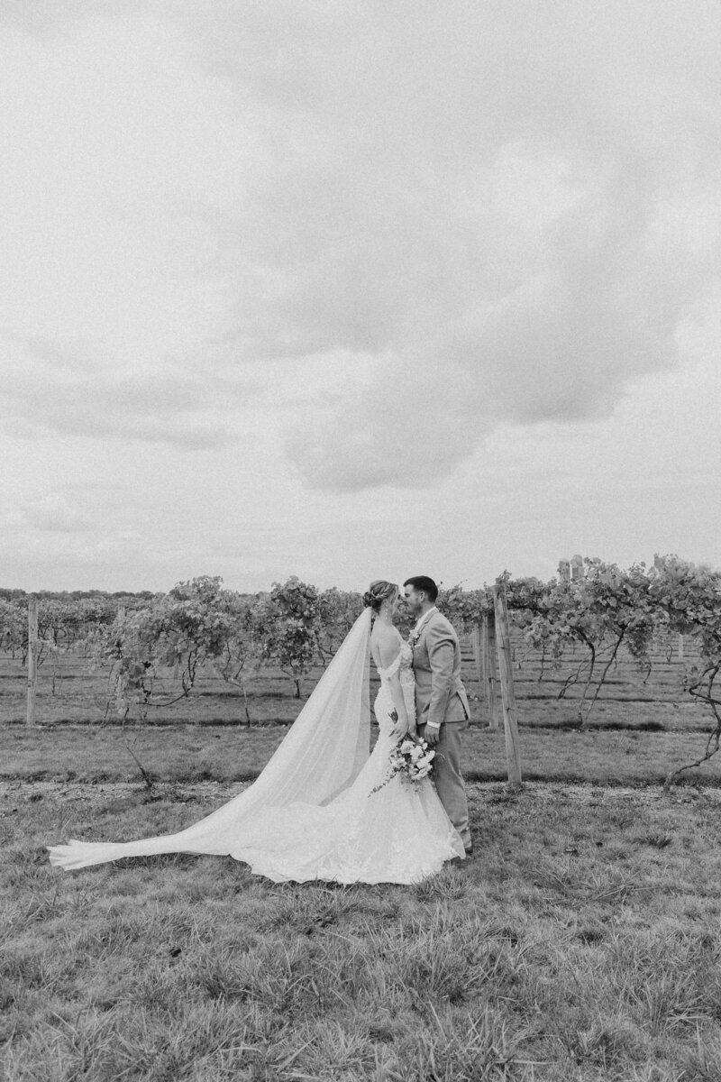 Ohio wedding photographer capturing timeless vineyard portraits for romantic couples seeking authentic and emotional wedding day memories.