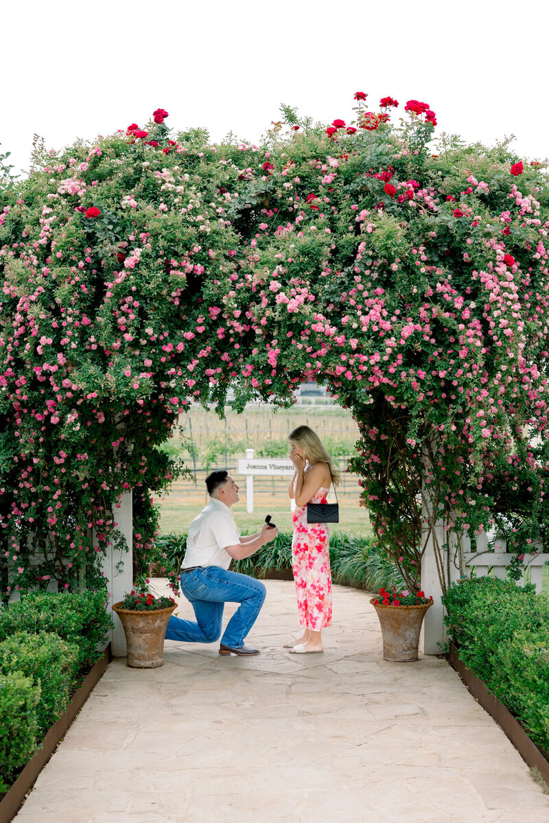 Austin Proposal on a dock surrounded by water and tall trees by Lois M Photography