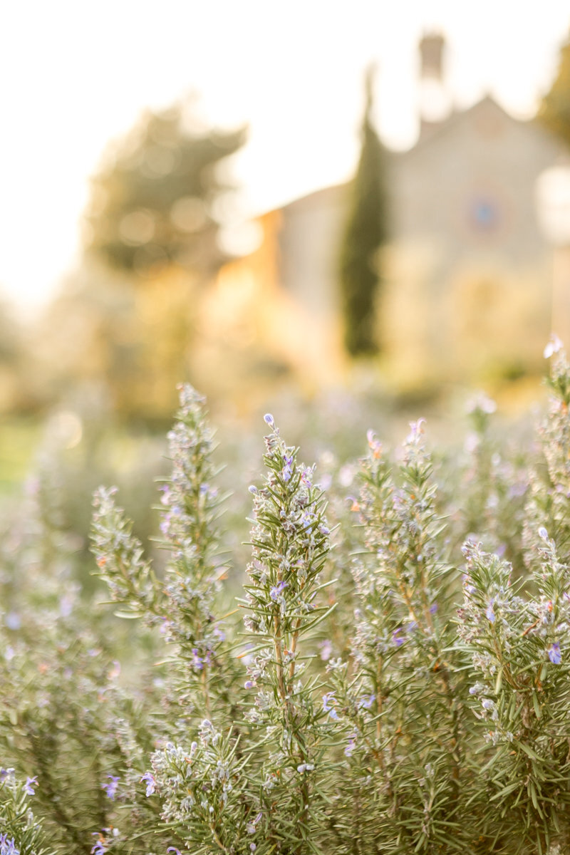 0013-2019-ItalyWedding-JanaMarie