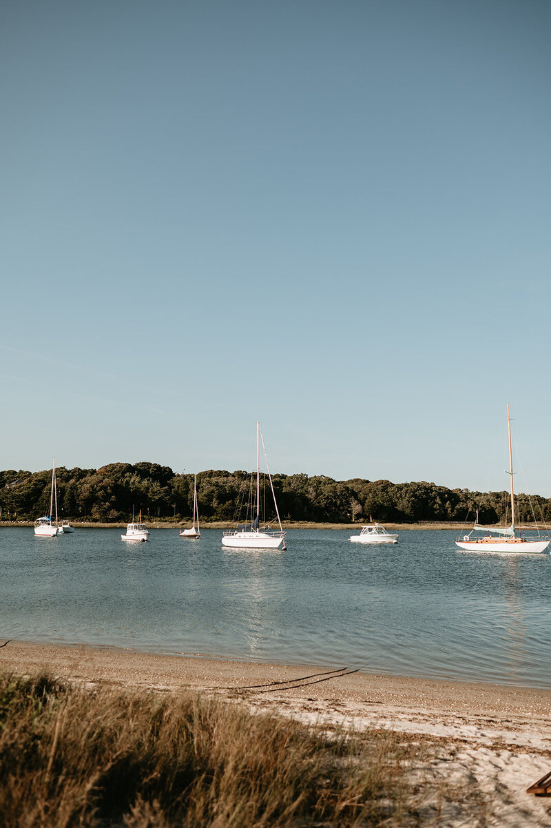 Cape Cod-Backyard-Garden-Party-Wedding-T&B-378