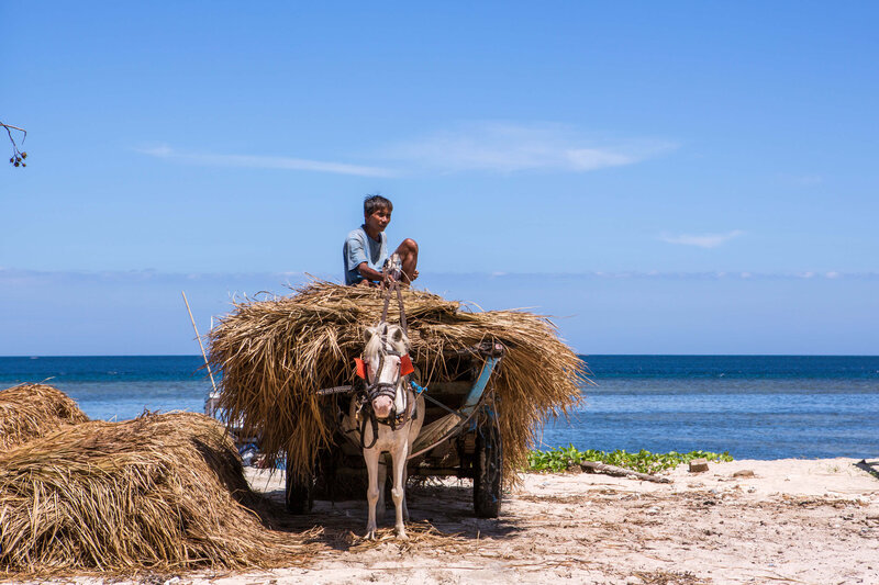 man with horse and cart Gili Air