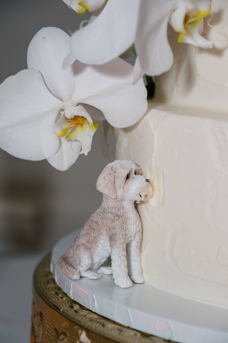 Palm-Beach-Wedding-Photographer-185