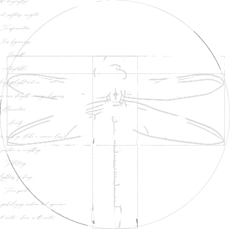 Da Vinci Dragon Fly light transparent