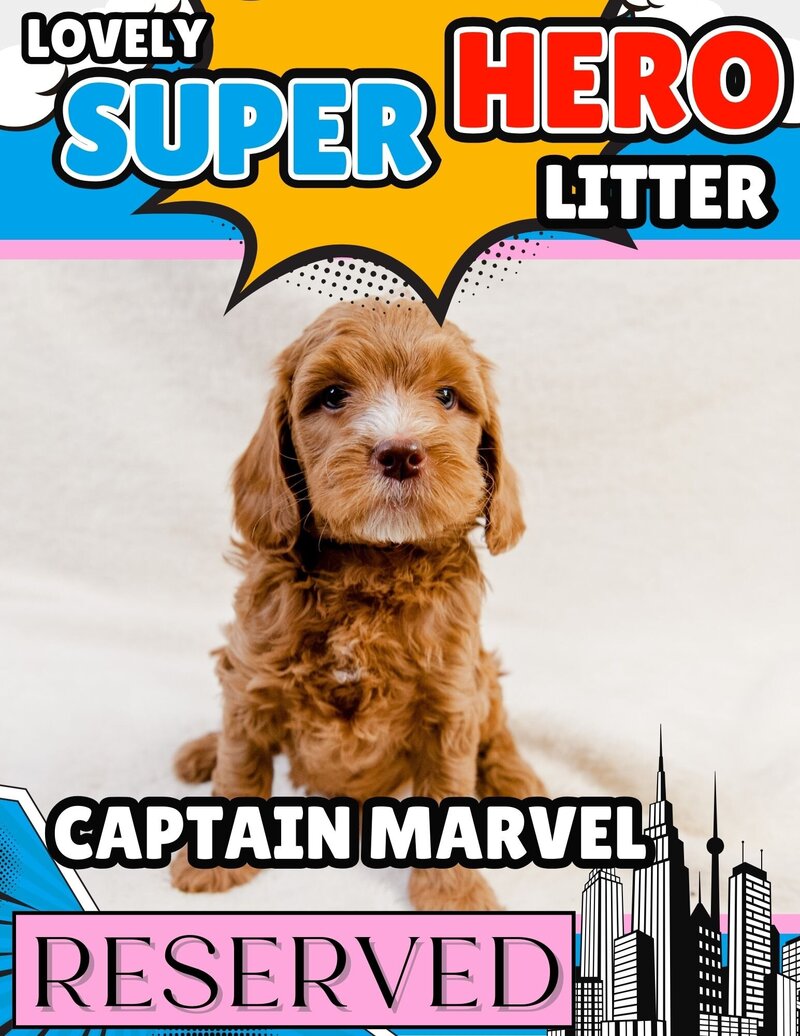 Hero - Lt Pink Captain Marvel Female