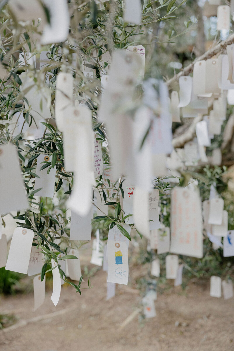 Bryce Gaston Events San Diego Wedding Planner Scripps Seaside Forum