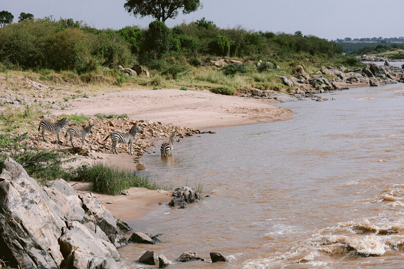 safariedited-400