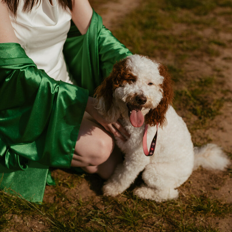 Spring-Senior-Pictures-Group-Grad-and-Cap-Photos-dog-sitting-in-field