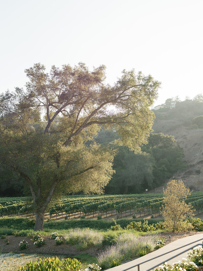 Bryce Gaston Events San Diego Wedding Planner San Diego Wedding Planner Wedding Planner San Diego Full-service wedding planning and design in Southern California6