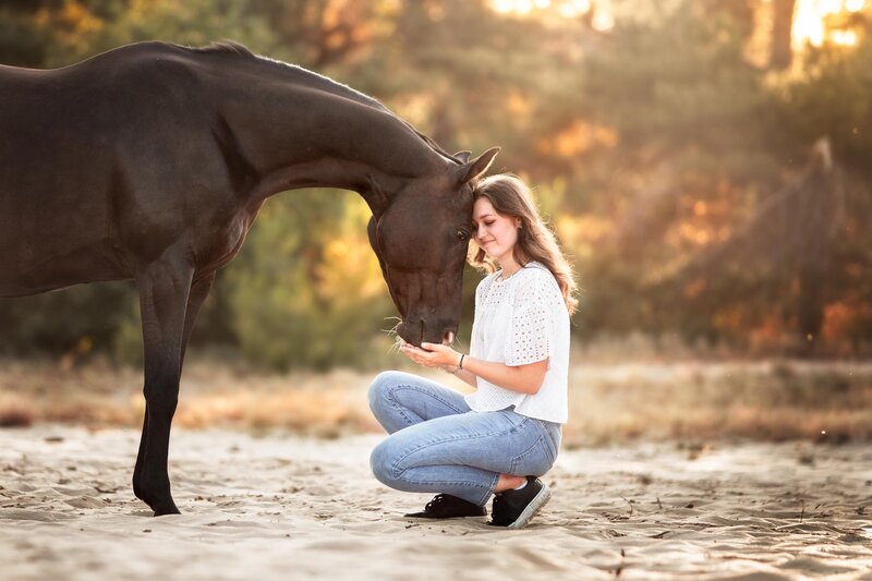 Ontdek paardenfotografie