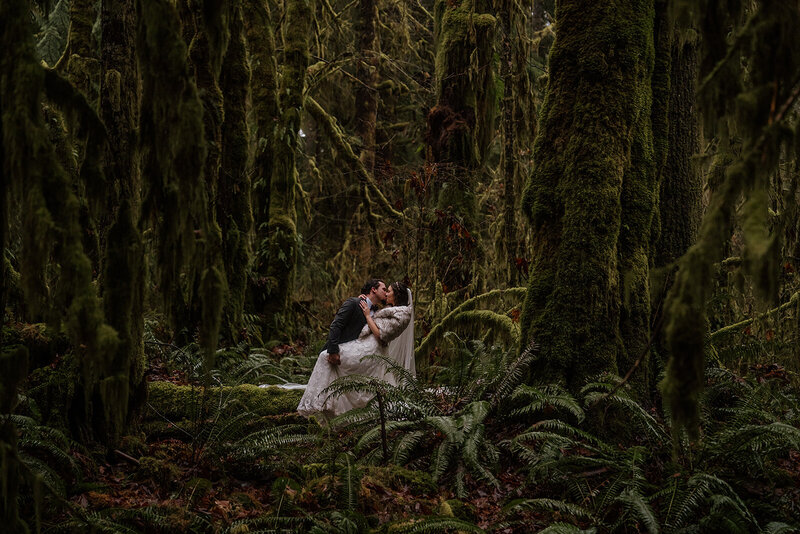 HohRainforestElopement