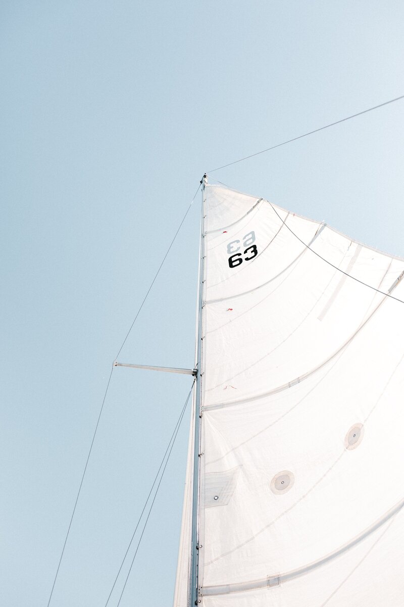 pexels-andrew-neel-2326961