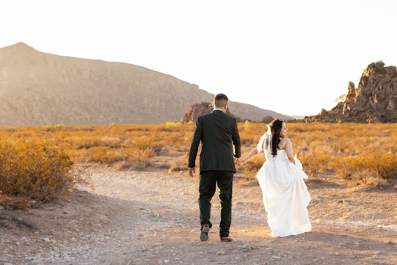 Couple celebrating their outdoor wedding with rocky landscape in the background, photographed by Lamblight Photography in Utah