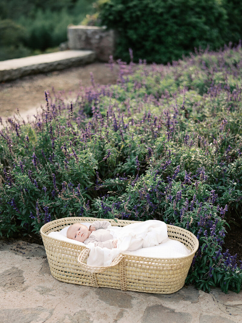 A newborn laying in a basket in a garden by Katie Stansfield Photography, a Richmond newborn photographer.