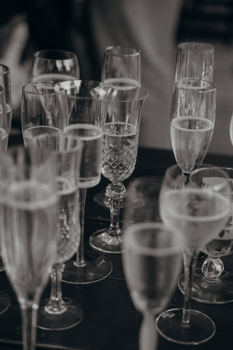 Tamar+RossTeasers-097