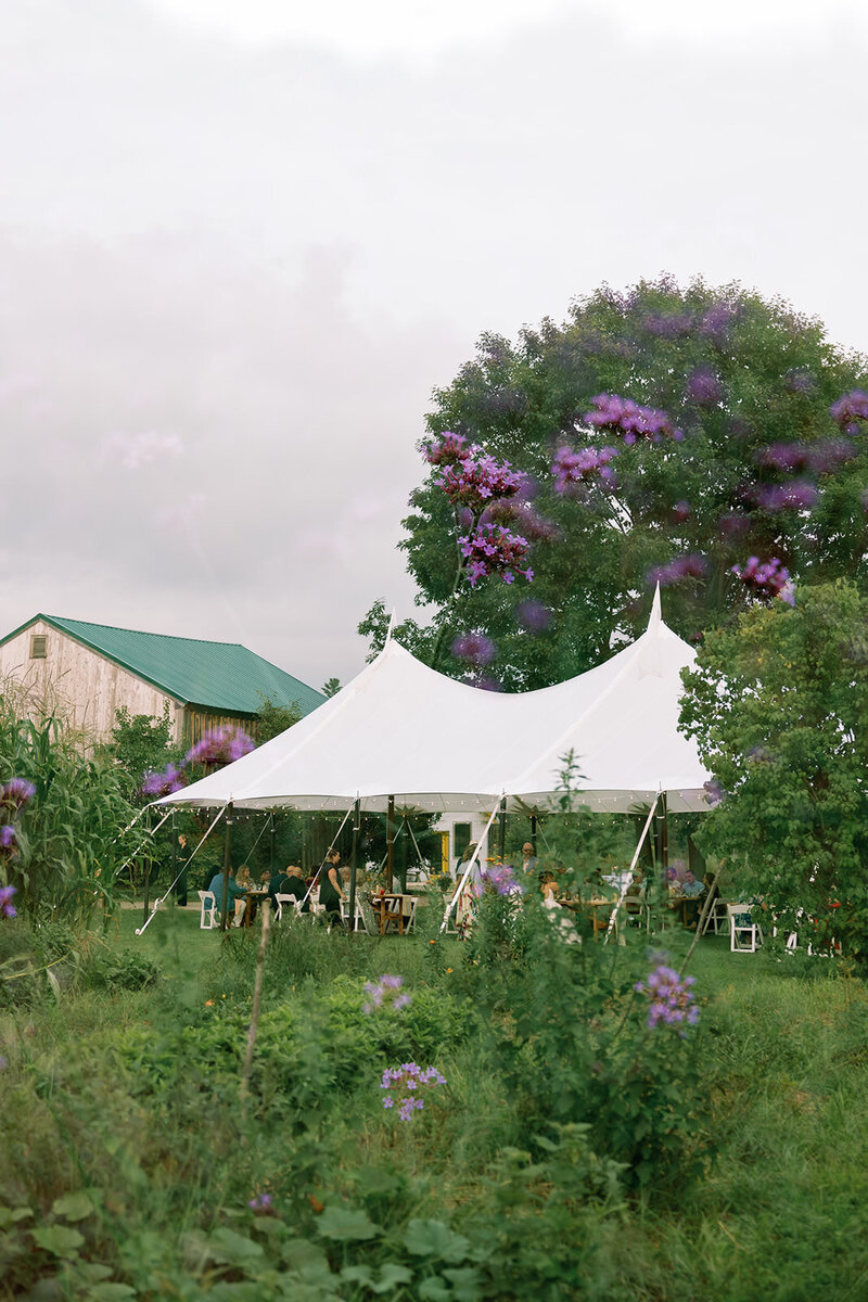 maddybethunephoto-113 copy