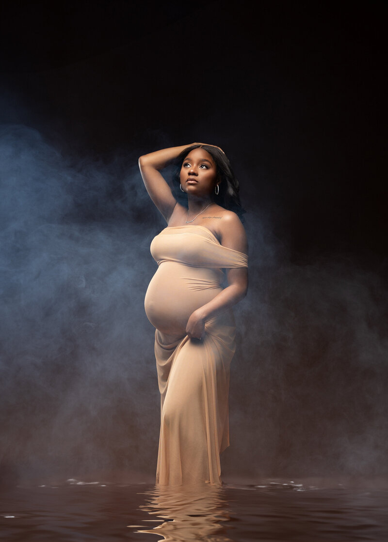 Chicago Maternity Photographer
