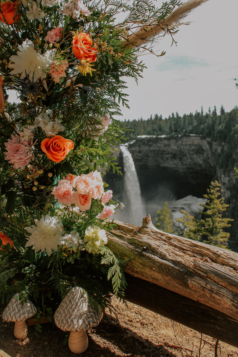 47ACDEC9-B550-40B4-81B6-980E72C7C530