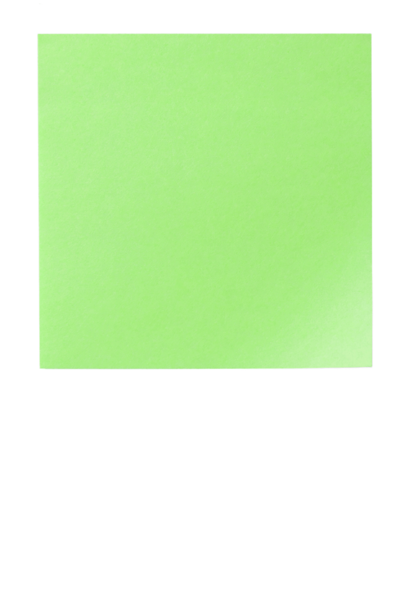 A green sticky note sharing all the information about the Words + Website package.