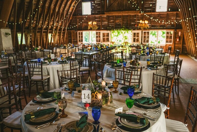 blue-dress-barn-wedding-michigan-amber-andrew-30_websize