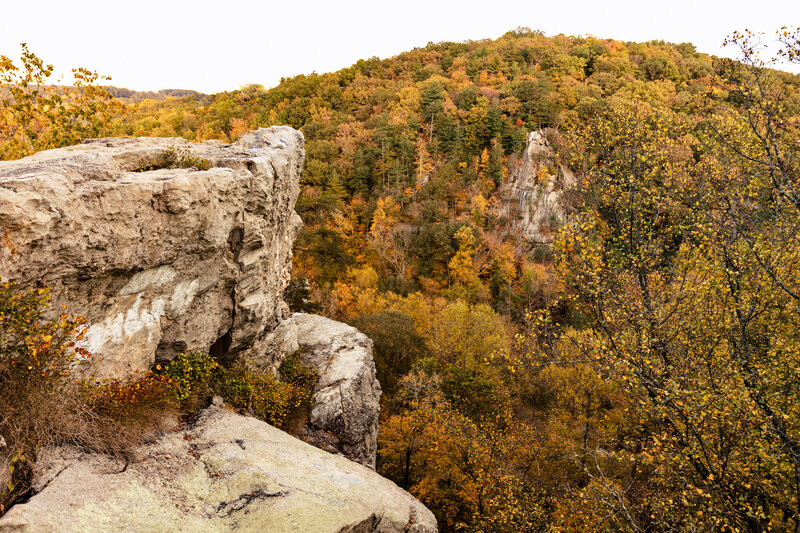 Cliff in fall
