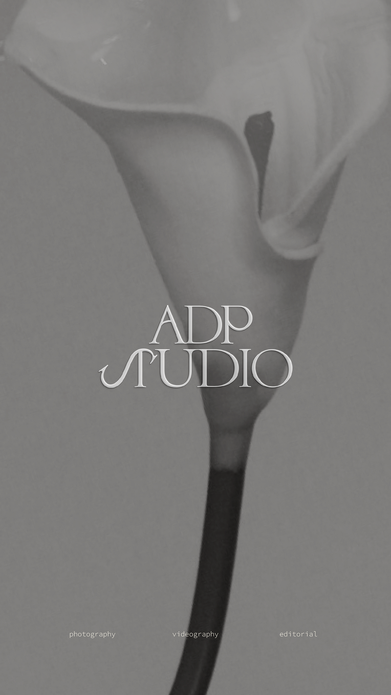 Creative brand strategy work for interior designer