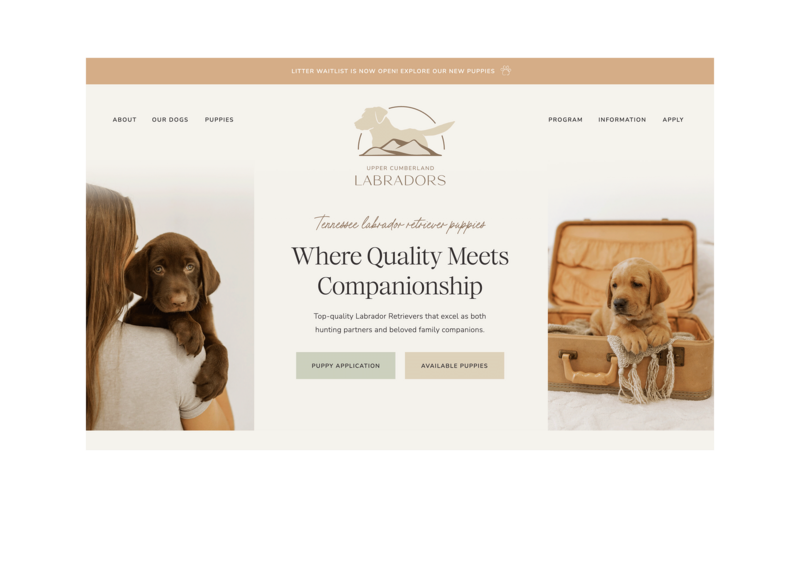 Clean Custom Showit Website Design for Dog Breeder
