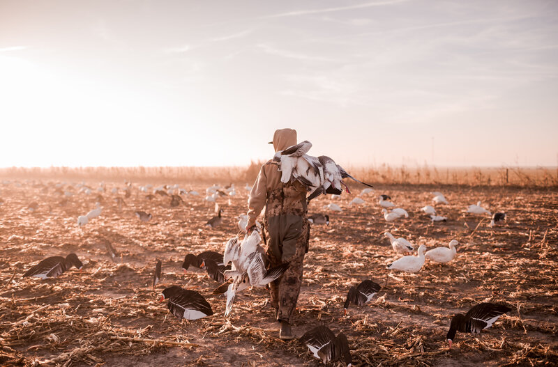 Kansas Hunting - Waterfowl Hunting - Central Kansas - Duck Hunting - Kansas waterfowl hunting - guided kansas waterfowl hunt  - mallard - mallard duck