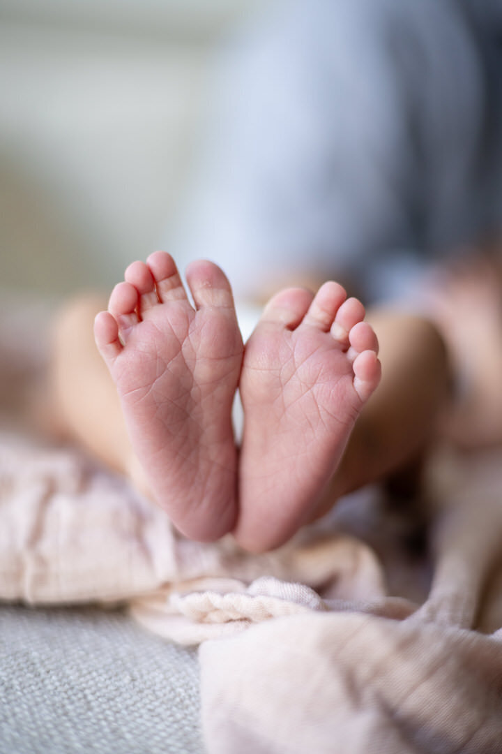 San Francisco Family Photographer Alyx Jones144